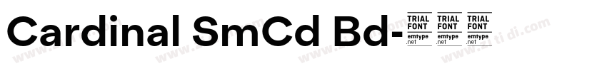 Cardinal SmCd Bd字体转换